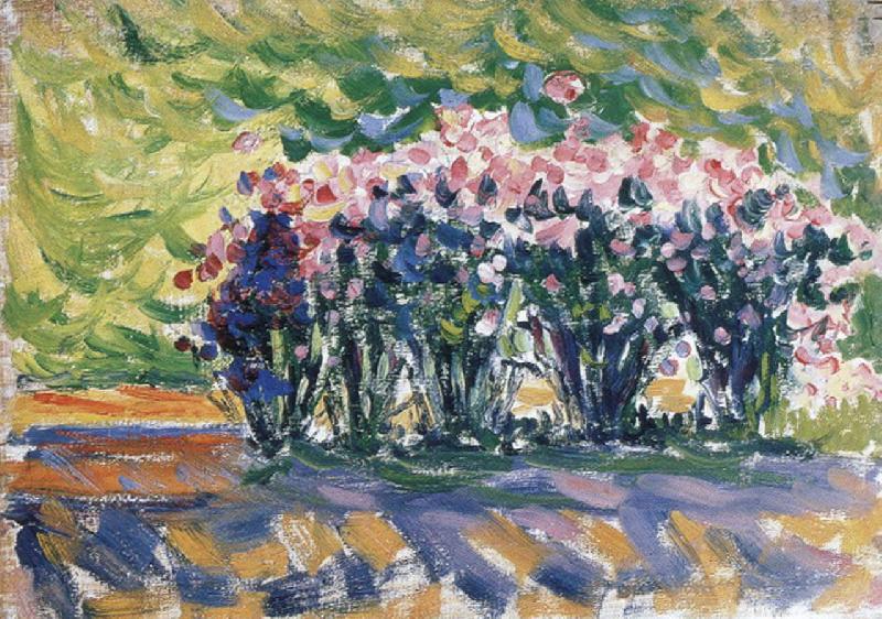 Paul Signac oleanders